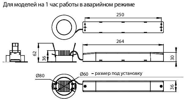 �������. �����